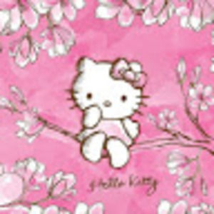 Meet your Posher, Regina